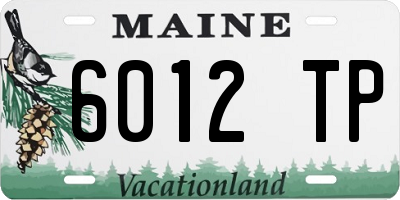 ME license plate 6012TP