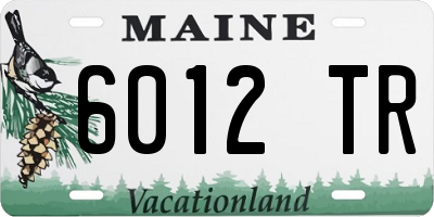 ME license plate 6012TR