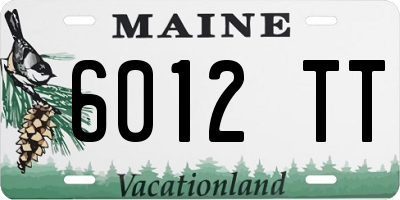 ME license plate 6012TT