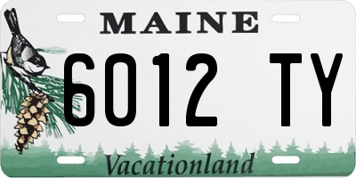 ME license plate 6012TY