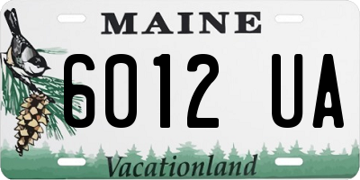 ME license plate 6012UA