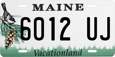 ME license plate 6012UJ