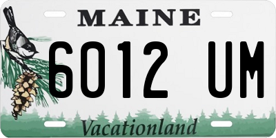 ME license plate 6012UM