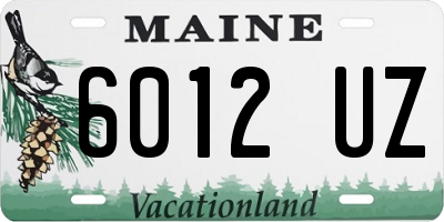 ME license plate 6012UZ