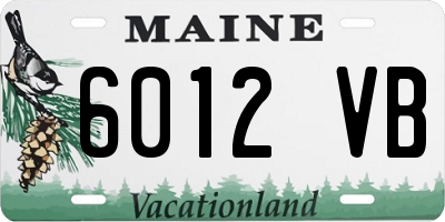 ME license plate 6012VB