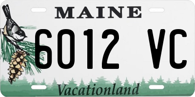 ME license plate 6012VC