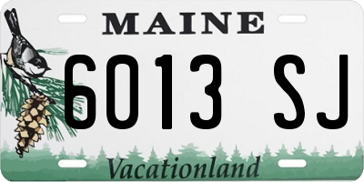 ME license plate 6013SJ