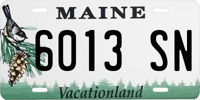 ME license plate 6013SN