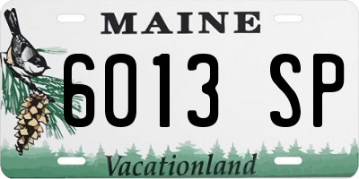 ME license plate 6013SP