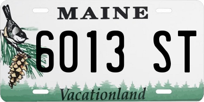 ME license plate 6013ST