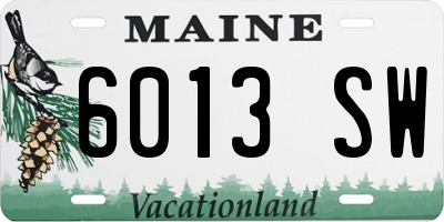 ME license plate 6013SW