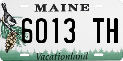 ME license plate 6013TH