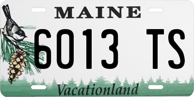 ME license plate 6013TS