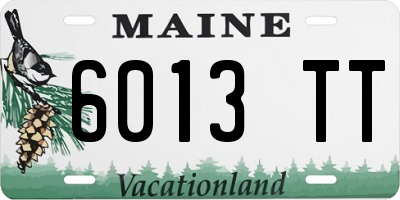 ME license plate 6013TT