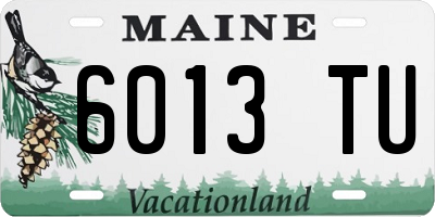 ME license plate 6013TU