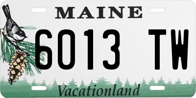 ME license plate 6013TW