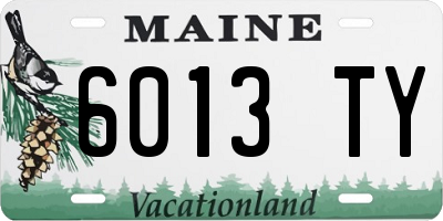 ME license plate 6013TY