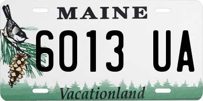 ME license plate 6013UA
