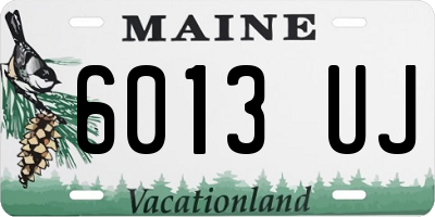 ME license plate 6013UJ