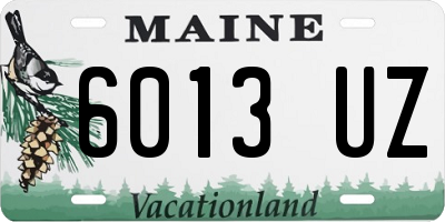 ME license plate 6013UZ