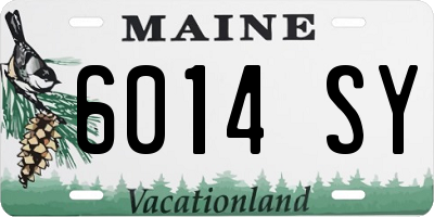 ME license plate 6014SY