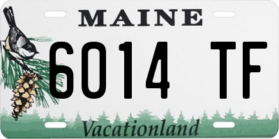 ME license plate 6014TF