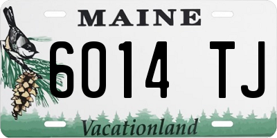 ME license plate 6014TJ