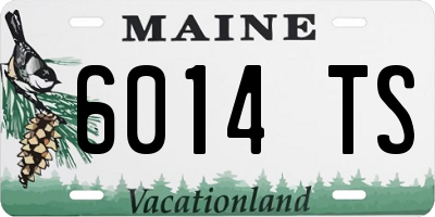 ME license plate 6014TS