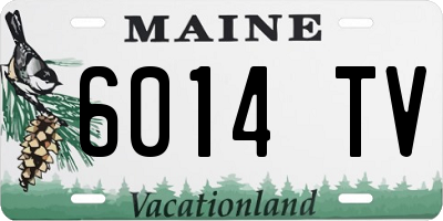 ME license plate 6014TV