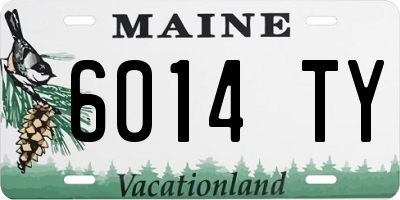 ME license plate 6014TY