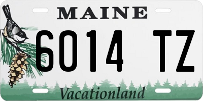 ME license plate 6014TZ