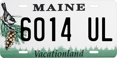 ME license plate 6014UL