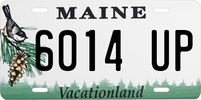 ME license plate 6014UP