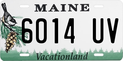 ME license plate 6014UV