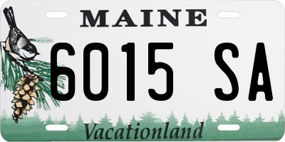 ME license plate 6015SA