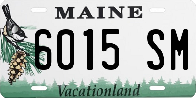 ME license plate 6015SM
