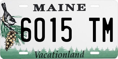 ME license plate 6015TM