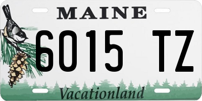 ME license plate 6015TZ
