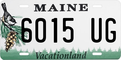 ME license plate 6015UG