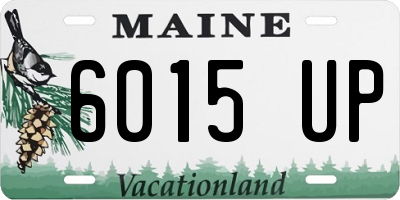 ME license plate 6015UP