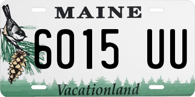 ME license plate 6015UU