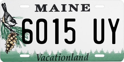 ME license plate 6015UY