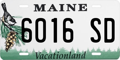 ME license plate 6016SD