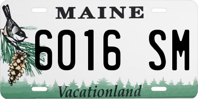 ME license plate 6016SM