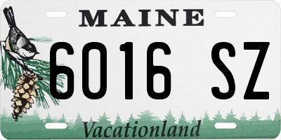 ME license plate 6016SZ