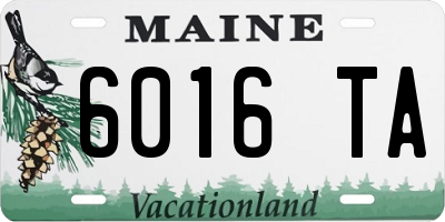 ME license plate 6016TA