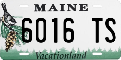 ME license plate 6016TS
