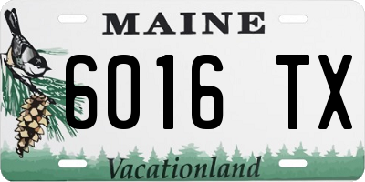 ME license plate 6016TX