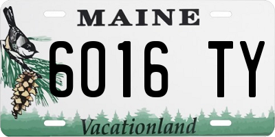 ME license plate 6016TY