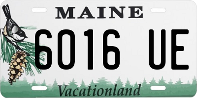 ME license plate 6016UE